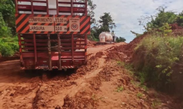 Produtores temem morte de animais por atoleiros na MT-170