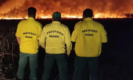 Ibama publica editais de concursos que somam mais de 1,3 mil vagas para combate e prevenção a incêndios florestais