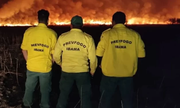 Ibama publica editais de concursos que somam mais de 1,3 mil vagas para combate e prevenção a incêndios florestais