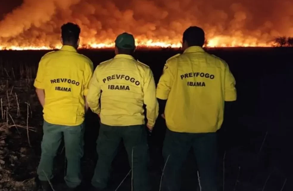 Ibama publica editais de concursos que somam mais de 1,3 mil vagas para combate e prevenção a incêndios florestais