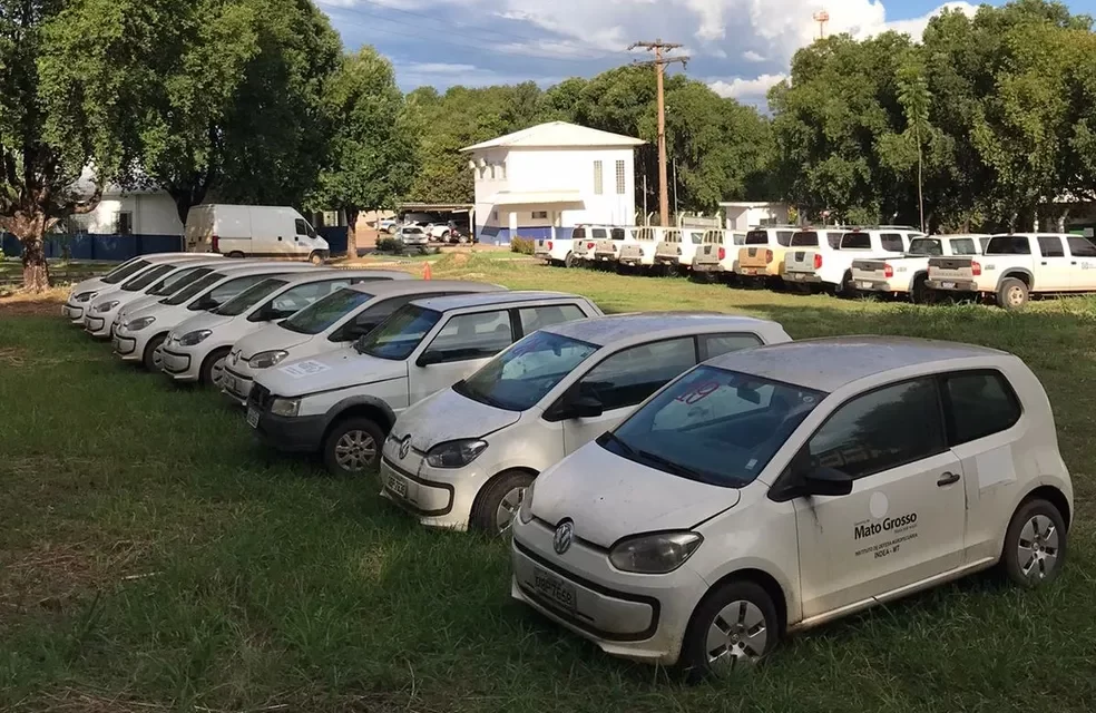 Instituto de Defesa Agropecuária promove leilão online de bens móveis e veículos em MT