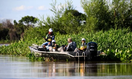 Governo apresenta projeto de lei que proíbe pesca predatória por 5 anos em MT