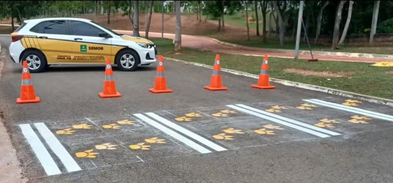 ‘Faixa da fama’: capivaras são homenageadas com patinhas desenhadas em travessia de pedestres em Cuiabá