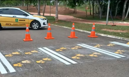 ‘Faixa da fama’: capivaras são homenageadas com patinhas desenhadas em travessia de pedestres em Cuiabá