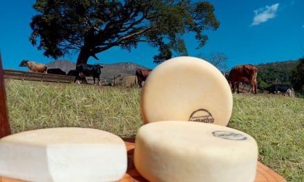 Queijo Minas Artesanal é reconhecido como patrimônio imaterial pela Unesco