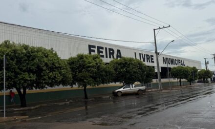 Apoio da Prefeitura fortalece feiras livres e gera renda para agricultores familiares em Primavera do Leste