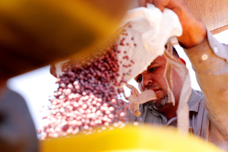 Coletores de sementes ganham protagonismo na recuperação florestal da Amazônia Enquanto projetos de restauração ambiental avançam de forma progressiva no Brasil, o país ainda lidera os índices globais de perda de florestas tropicais, respondendo por quase metade do total registrado em 2024.