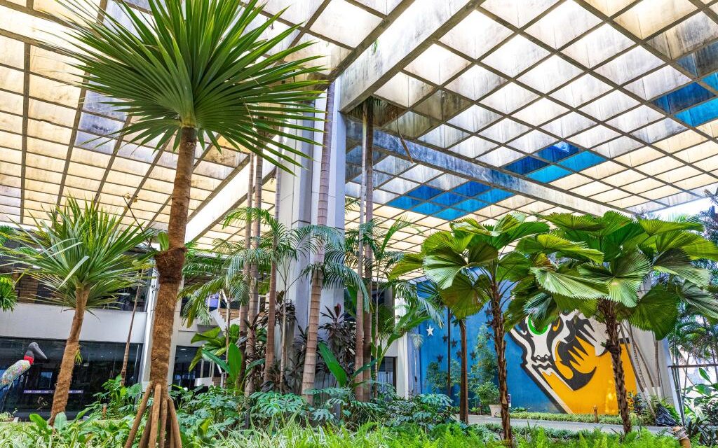 Governo de Mato Grosso adota medidas para incentivar microcervejarias e diminuir a carga tributária sobre o pão francês