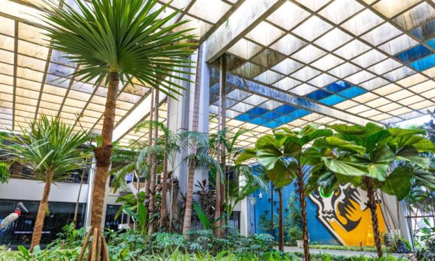 Governo de Mato Grosso adota medidas para incentivar microcervejarias e diminuir a carga tributária sobre o pão francês