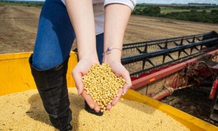 Estado líder na produção nacional registra avanço superior ao índice do país