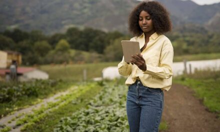 Expansão do 4G em áreas rurais beneficia 1,7 milhão de pessoas entre 2024 e 2025