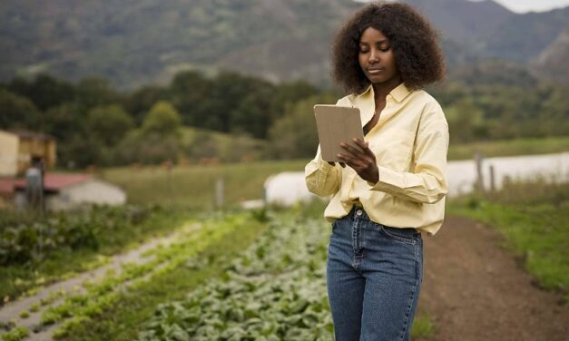 Expansão do 4G em áreas rurais beneficia 1,7 milhão de pessoas entre 2024 e 2025