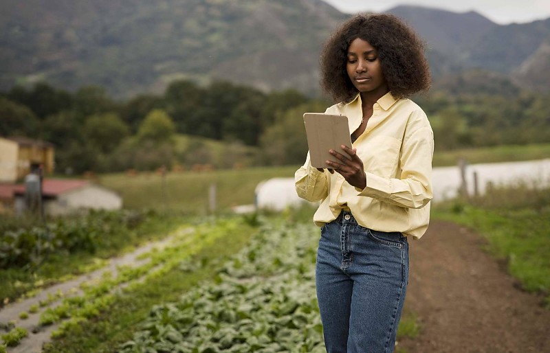 Expansão do 4G em áreas rurais beneficia 1,7 milhão de pessoas entre 2024 e 2025