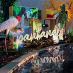 FIT Pantanal encerra edição histórica com público de 100 mil pessoas