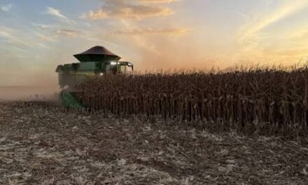 Mato Grosso reforça ações de prevenção durante período de estiagem