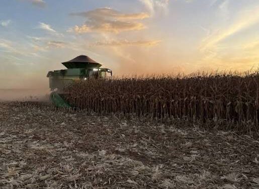 Mato Grosso reforça ações de prevenção durante período de estiagem
