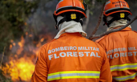 Mato Grosso reforça ações de prevenção a incêndios florestais durante período de estiagem