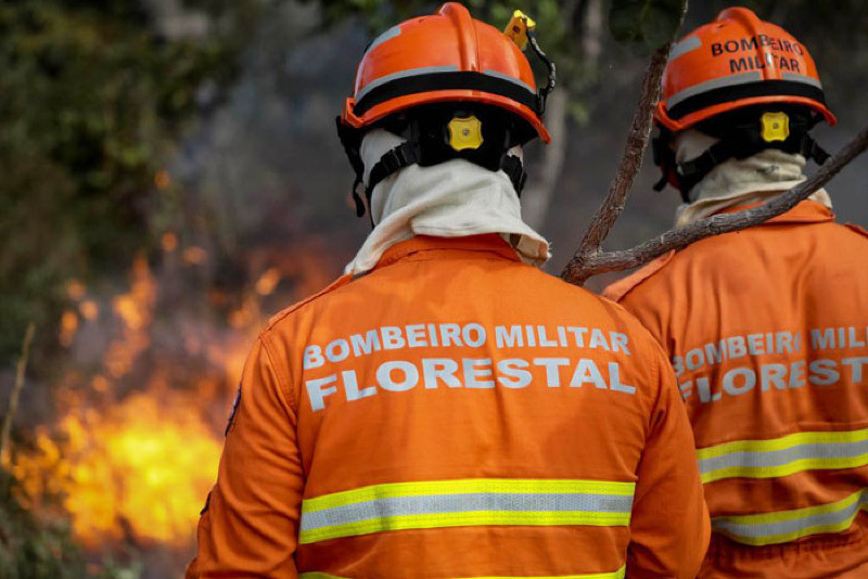 Mato Grosso reforça ações de prevenção a incêndios florestais durante período de estiagem