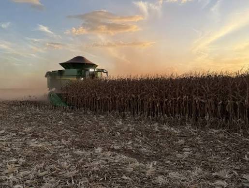 Mato Grosso reforça ações de prevenção durante período de estiagem