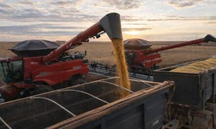 Agronegócio mantém Mato Grosso entre os estados mais competitivos do país