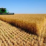 Mato Grosso mantém destaque nacional com crescimento do agronegócio