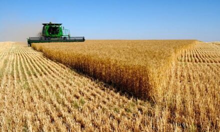 Mato Grosso mantém destaque nacional com crescimento do agronegócio
