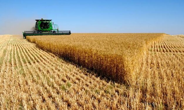 Mato Grosso mantém destaque nacional com crescimento do agronegócio
