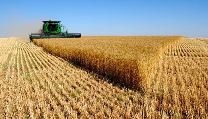 Mato Grosso mantém destaque nacional com crescimento do agronegócio