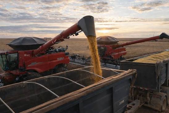 Agronegócio mantém Mato Grosso entre os estados mais competitivos do país