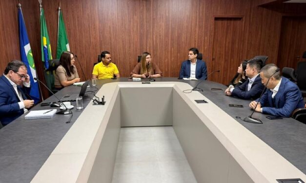 Grupo chinês avalia investimento em usina de transformação de lixo em energia