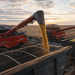 Agronegócio mantém ritmo de investimentos e impulsiona economia mato-grossense