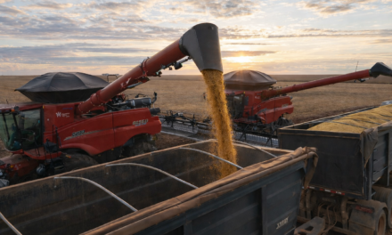 Agronegócio mantém ritmo de investimentos e impulsiona economia mato-grossense
