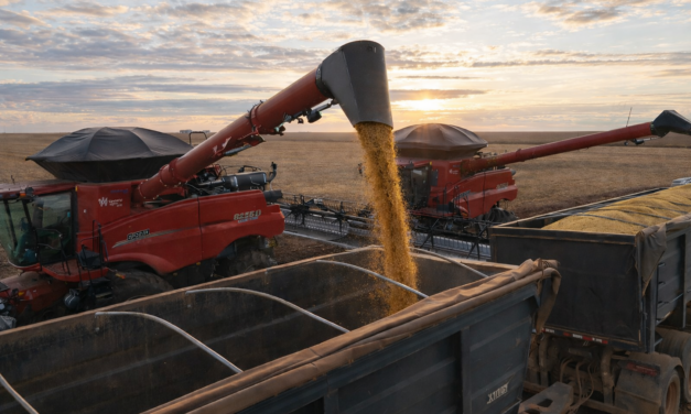 Agronegócio mantém ritmo de investimentos e impulsiona economia mato-grossense