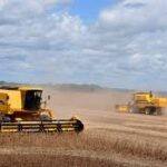 Exportadores de Mato Grosso acompanham cenário global do comércio