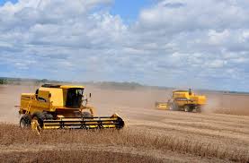 Exportadores de Mato Grosso acompanham cenário global do comércio