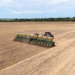 Mercado externo segue influenciando decisões do agronegócio mato-grossense