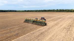 Mercado externo segue influenciando decisões do agronegócio mato-grossense
