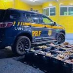 PRF apreende mais de 280 quilos de drogas durante ações na BR-364