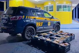 PRF apreende mais de 280 quilos de drogas durante ações na BR-364