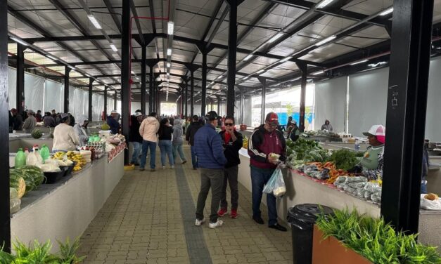 Feira revitalizada fortalece agricultura familiar em Chapada dos Guimarães