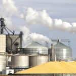 Produção industrial de Mato Grosso mantém ritmo de crescimento em 2026