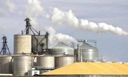 Produção industrial de Mato Grosso mantém ritmo de crescimento em 2026