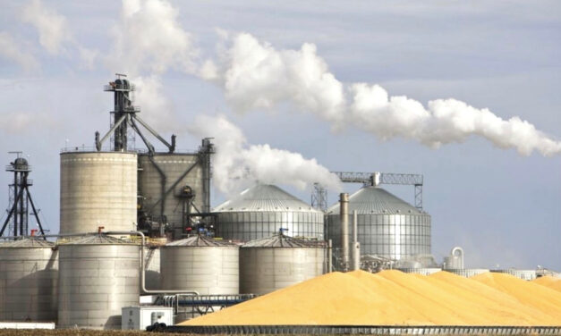 Produção industrial de Mato Grosso mantém ritmo de crescimento em 2026
