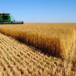 Mato Grosso amplia investimentos em infraestrutura e fortalece logística para o agronegócio