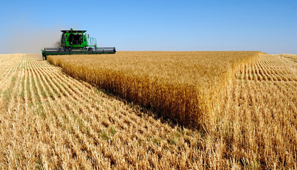 Mato Grosso amplia investimentos em infraestrutura e fortalece logística para o agronegócio