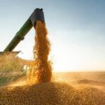 Mato Grosso mantém protagonismo econômico com crescimento da produção agroindustrial