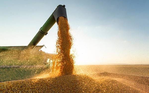 Mato Grosso mantém protagonismo econômico com crescimento da produção agroindustrial