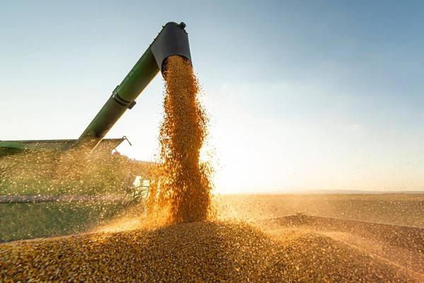 Mato Grosso mantém protagonismo econômico com crescimento da produção agroindustrial