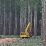Expansão do PIB reforça liderança econômica de Mato Grosso