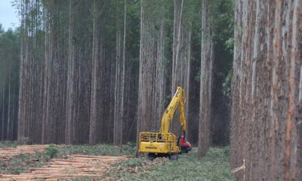 Expansão do PIB reforça liderança econômica de Mato Grosso